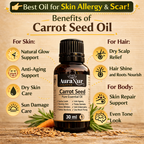 Carrot seed oil (30ml)