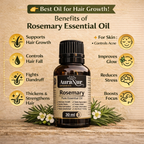 Rosemary oil (30ml)